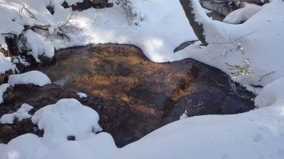 P1140592.jpg (107.98 KiB) 閲覧された回数 6027 回 源頭域にはハート池も