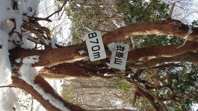 P1140596.jpg (204.14 KiB) 閲覧された回数 6027 回 衣掛山