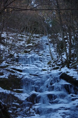 枝谷の無名氷瀑（３０メートルはあるだろうか）