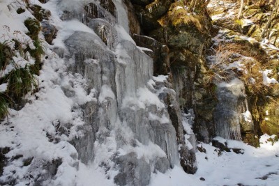 林道横の氷柱