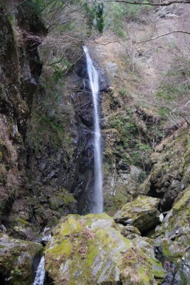 IMGP0563.JPG (218.21 KiB) 閲覧された回数 4286 回 高滝