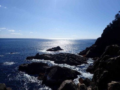 P1300028.jpg (66.34 KiB) 閲覧された回数 4322 回 江戸鼻