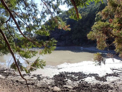 P1300042.jpg (143.63 KiB) 閲覧された回数 4304 回 須賀利小池