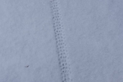 IMGP1226.JPG (56.21 KiB) 閲覧された回数 3502 回 バイクの轍