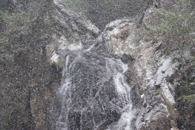 IMGP1203.JPG (243.41 KiB) 閲覧された回数 3503 回 降り続く雪