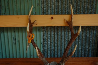 山から降りてきたらおじやんからのプレゼントが♥。ハサミ置きに使えるかな