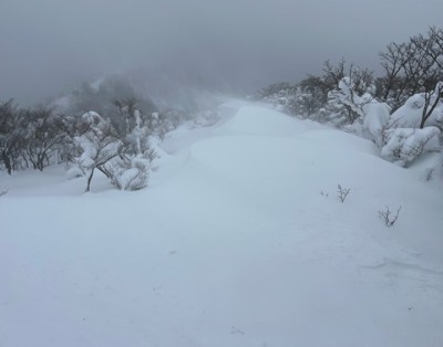 吹雪の中を歩く