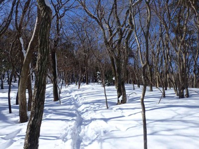 P2250010.jpg (123.78 KiB) 閲覧された回数 2487 回 子向井山手前