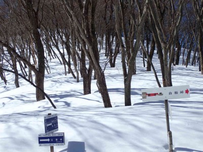 P2250039.jpg (99.62 KiB) 閲覧された回数 2487 回 白瀬峠分岐