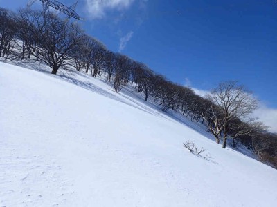 P2250052.jpg (55.58 KiB) 閲覧された回数 2487 回 稜線への斜面