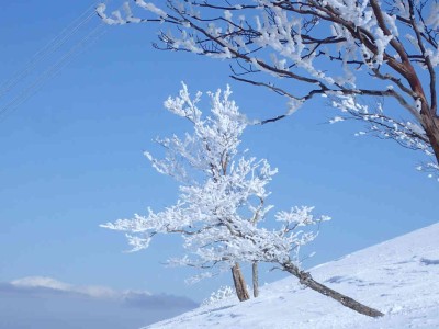 P2250079.jpg (62.34 KiB) 閲覧された回数 2484 回 霧氷
