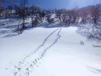 登りと下りのフットプリント