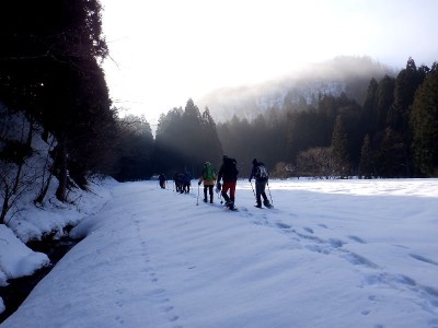 朝もやの中の林道歩き