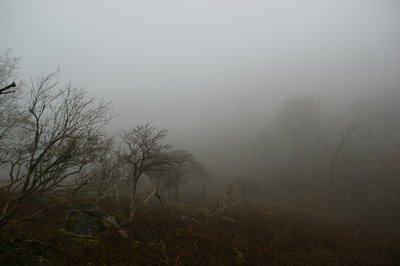 DSC04915.jpg (73.58 KiB) 閲覧された回数 12184 回 あっという間に真っ白