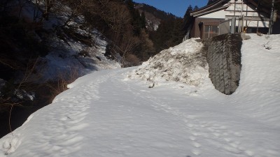 P3100798.jpg (110.41 KiB) 閲覧された回数 2921 回 洞寿院の横からシュー装着