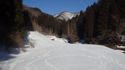 P3100804.jpg (99.22 KiB) 閲覧された回数 2936 回 あの峰をめざして