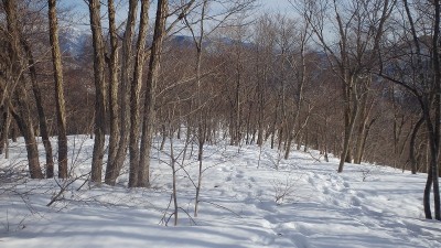 P3100836.jpg (187.75 KiB) 閲覧された回数 2910 回 平坦な尾根を下る