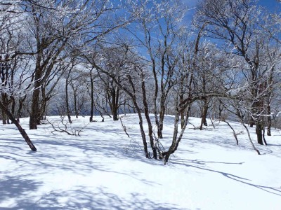 土倉岳の広い頂上
