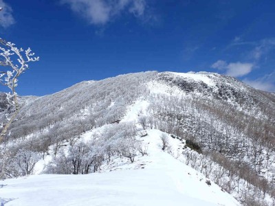 P3180114.jpg (83.7 KiB) 閲覧された回数 2743 回 土倉岳から見る御池テーブルランド