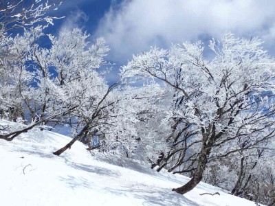 P3180135.jpg (118.69 KiB) 閲覧された回数 2746 回 霧氷