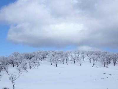 P3180141.jpg (39.47 KiB) 閲覧された回数 2746 回 テーブルランドの風景
