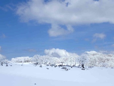 P3180178.jpg (37.34 KiB) 閲覧された回数 2743 回 テーブルランドの風景