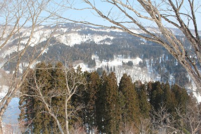 ここで林道の話、していましたね