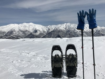 こんなのが見たかった　これは大長山から