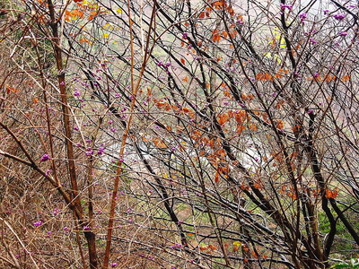 ● 寒くはなかったけど、冷たい冬の雨と風でした