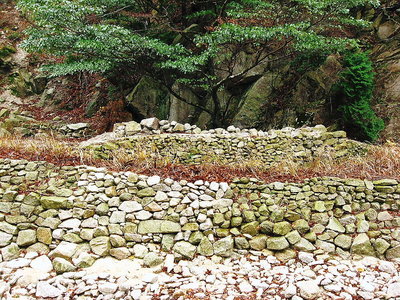 ● たいへんな努力だよなあ、道も床固めされて歩き良いよ