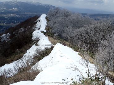 登山道を振り返る