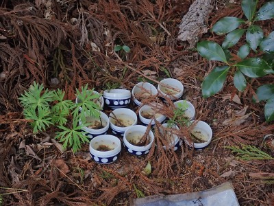 海軍軍用輸送機墜落場所