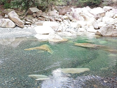 2025-04-20_15-24-10~2.jpg (264.16 KiB) 閲覧された回数 1976 回 白滝谷出合渡渉箇所