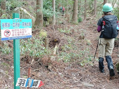 2025-04-20_09-38-05~3.jpg (293.35 KiB) 閲覧された回数 1967 回 右岸登山道