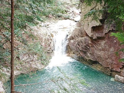 2025-04-20_14-36-18~2.jpg (283.7 KiB) 閲覧された回数 1967 回 天狗滝下途中棚