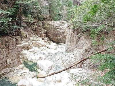 2025-04-20_14-36-03~2.jpg (281.61 KiB) 閲覧された回数 1967 回 天狗滝上部