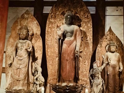 IMG20250418111509.jpg (77.92 KiB) 閲覧された回数 1913 回 金堂の仏像