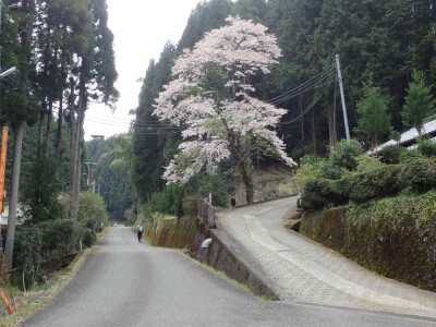 P4180004.jpg (86.15 KiB) 閲覧された回数 1913 回 右 伊勢本街道