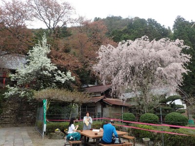 P4180027.jpg (116.42 KiB) 閲覧された回数 1913 回 仏隆寺