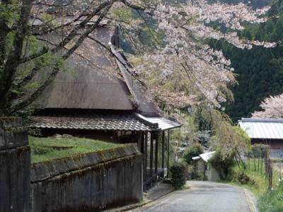 P4180047.jpg (105.33 KiB) 閲覧された回数 1913 回 西光寺