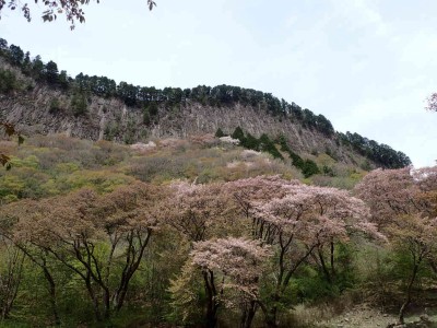 P4220017.jpg (94.04 KiB) 閲覧された回数 1713 回 屏風岩公苑