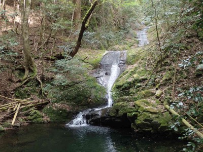 P4220057.jpg (125.17 KiB) 閲覧された回数 1713 回 南松の滝