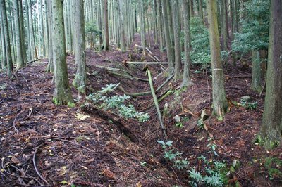 こんなとこもあるにはあるけど