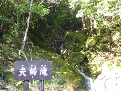 P5080006.jpg (128.41 KiB) 閲覧された回数 1548 回 地獄谷入り口