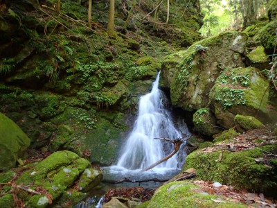 P5080064.jpg (114.4 KiB) 閲覧された回数 1548 回 感じのいい斜滝