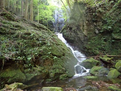 斜滝の向こうに夫婦滝