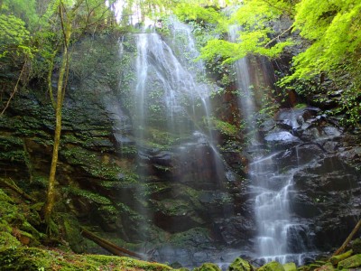 P5080117.jpg (108.5 KiB) 閲覧された回数 1559 回 夫婦滝