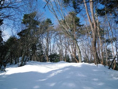 IMGP6037妙法ヶ岳山頂-s.JPG (125.46 KiB) 閲覧された回数 10711 回 妙法ヶ岳山頂