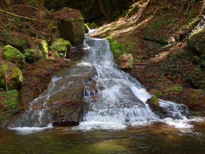 南松の滝上流の斜滝