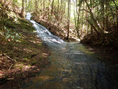 左からナメ滝が合流